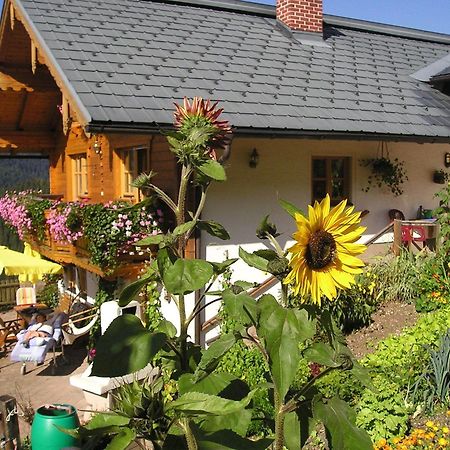 Fesengut Hotel Annaberg im Lammertal Kültér fotó