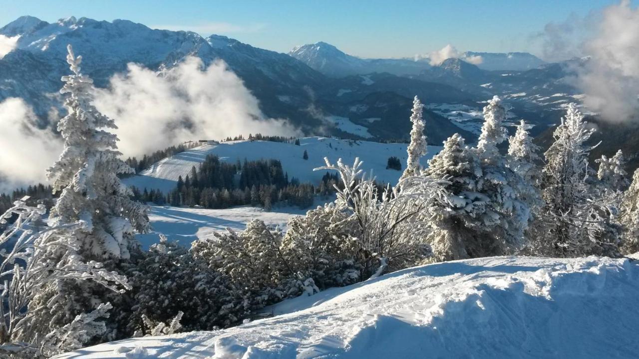 Fesengut Hotel Annaberg im Lammertal Kültér fotó