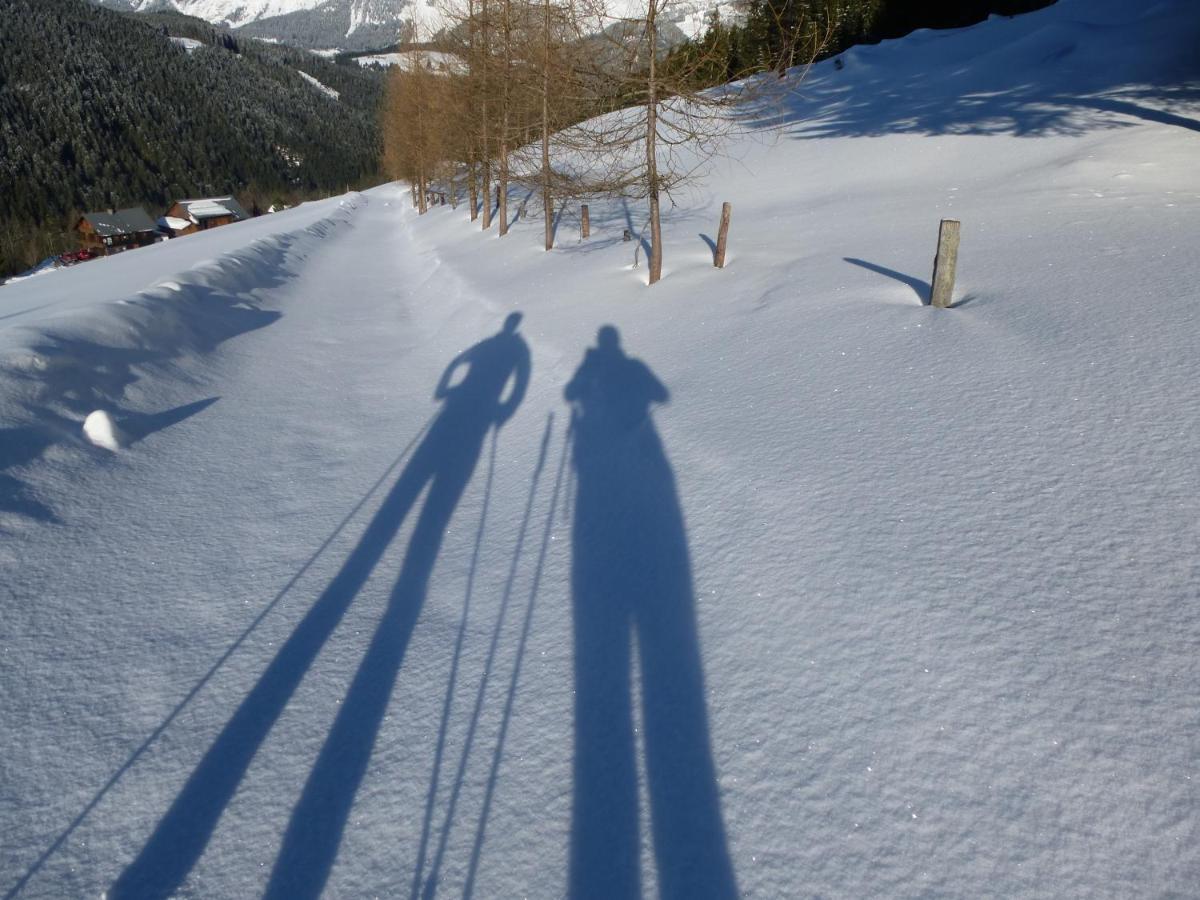 Fesengut Hotel Annaberg im Lammertal Kültér fotó