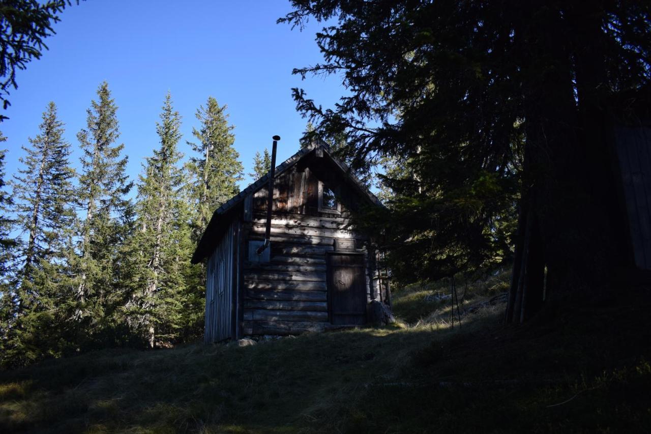Fesengut Hotel Annaberg im Lammertal Kültér fotó