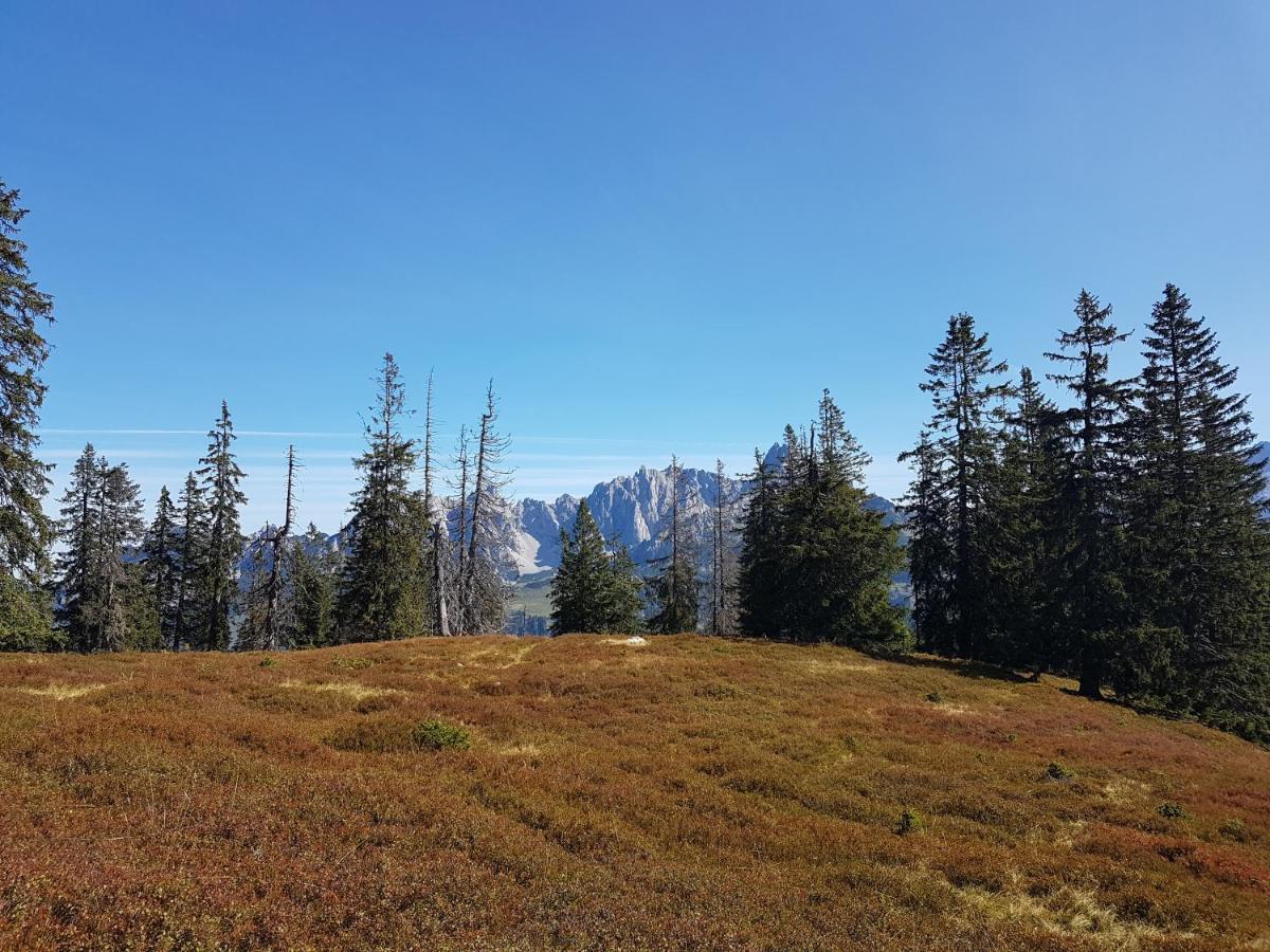 Fesengut Hotel Annaberg im Lammertal Kültér fotó
