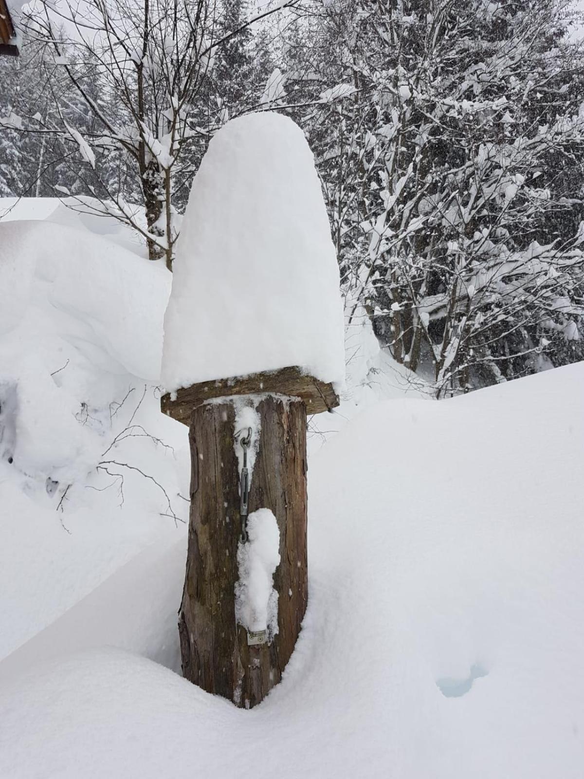 Fesengut Hotel Annaberg im Lammertal Kültér fotó