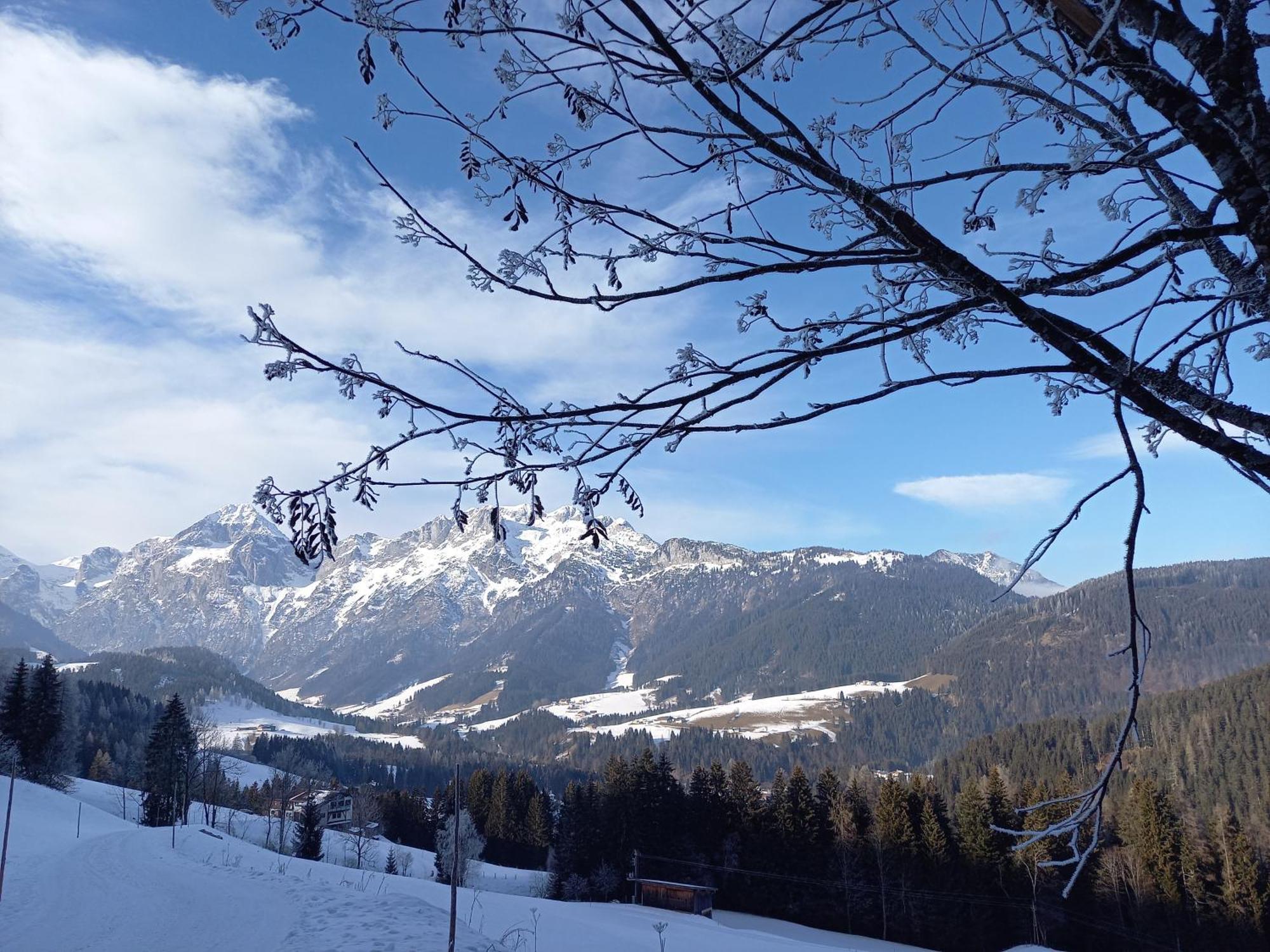Fesengut Hotel Annaberg im Lammertal Kültér fotó