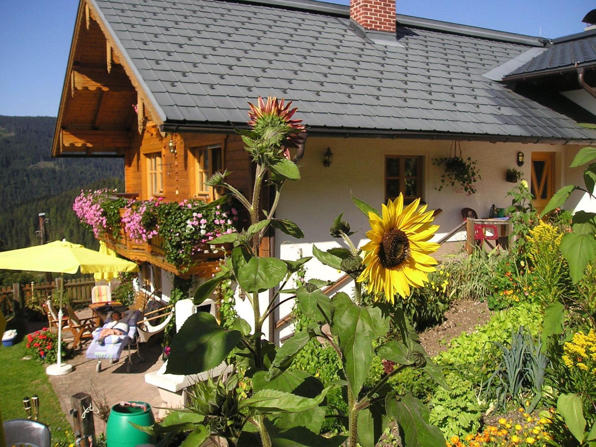 Fesengut Hotel Annaberg im Lammertal Kültér fotó