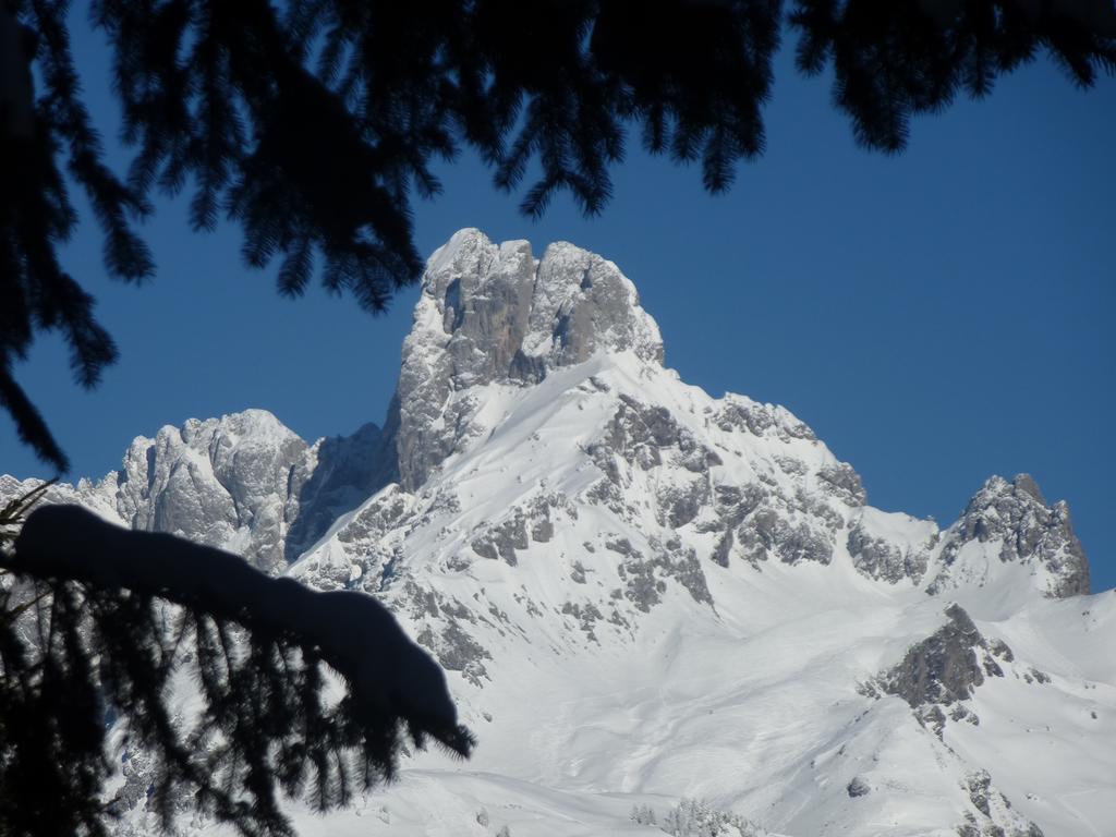 Fesengut Hotel Annaberg im Lammertal Kültér fotó